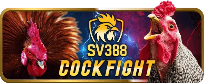 Quản lý tài khoản GI8